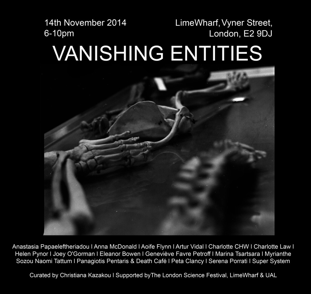 VANISHING ENTITIES Flyer